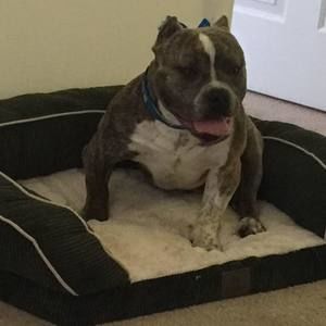 Meet your Posher, Kirubel